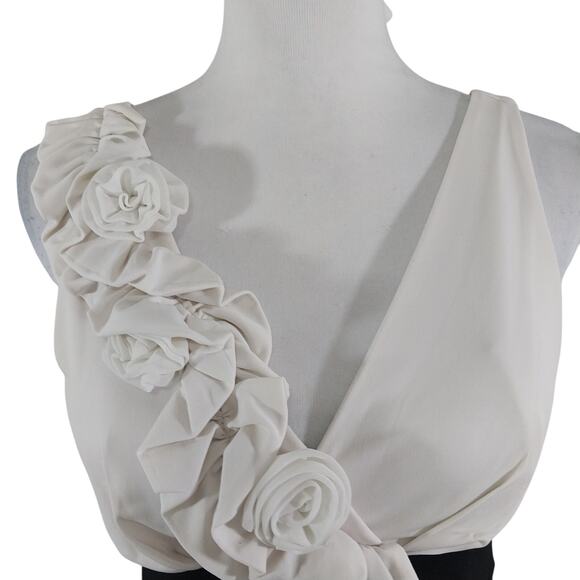 EN FOCUS STUDIO! CREAM OVER BLACK ALL STRETCH ROSE EMBELLISHED DRESS! SZ 4 - Picture 5 of 11